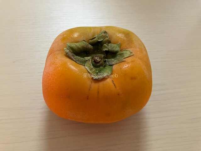 柿（かき）