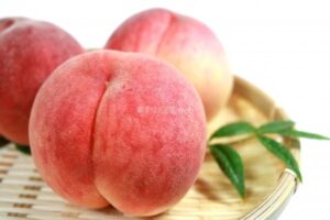 桃(もも) | 果物の図鑑web
