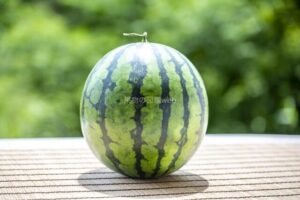 ウリ科の果物 一覧 | 果物の図鑑web
