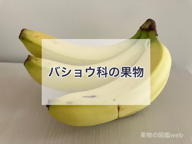 バショウ科の果物