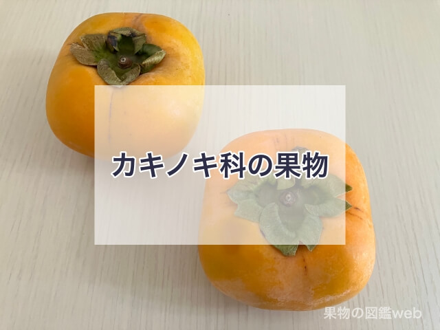 カキノキ科の果物