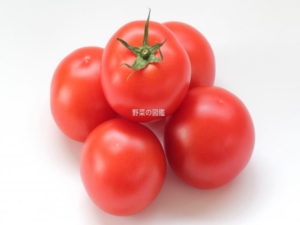 トマト | 野菜の図鑑web