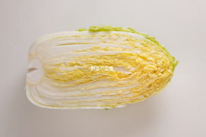 白菜（はくさい） | 野菜の図鑑web