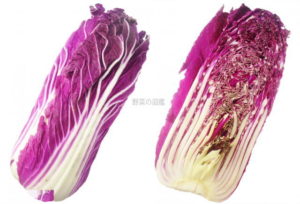 白菜（はくさい） | 野菜の図鑑web