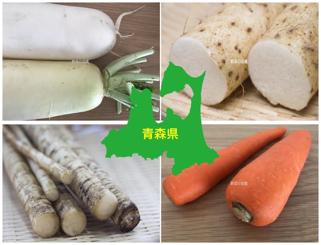 青森県の野菜収穫量（大根・山芋・ごぼう・人参）