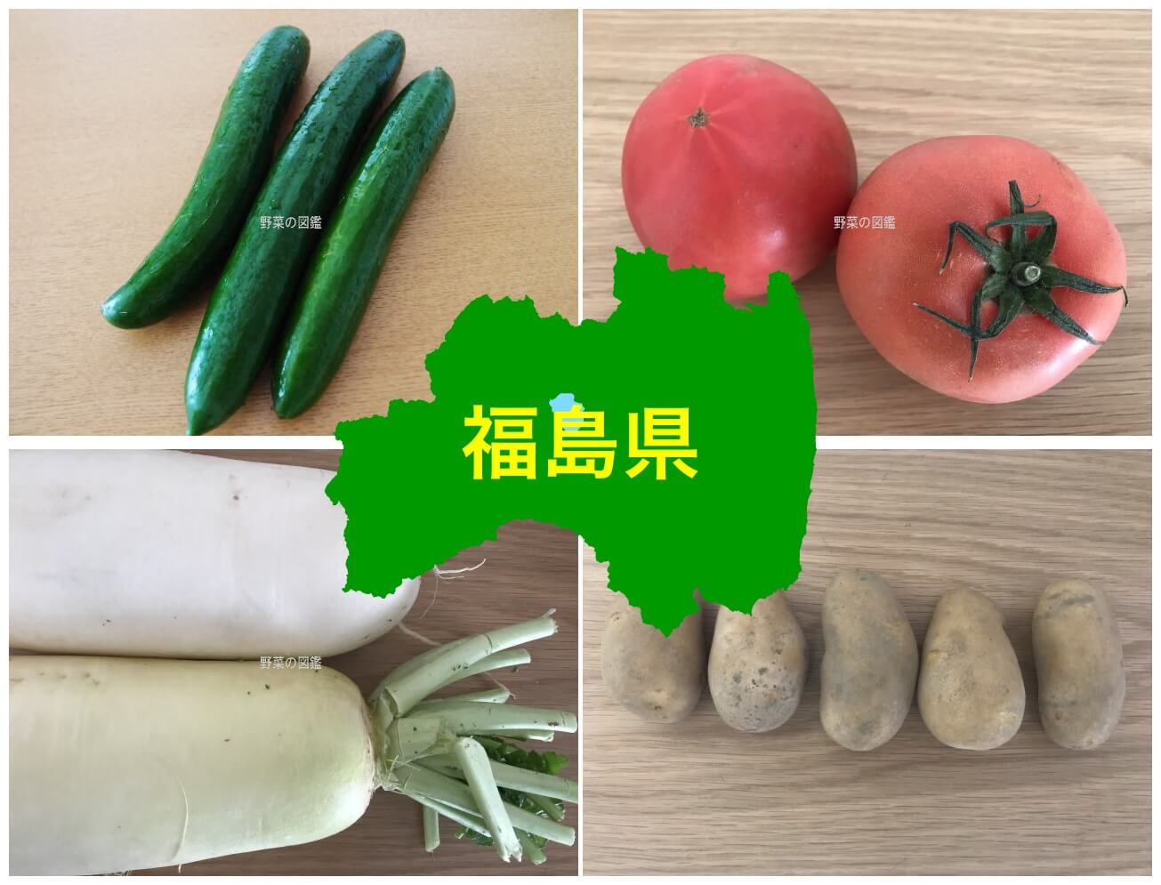 福島県の野菜収穫量（きゅうり・トマト・大根・じゃがいも）