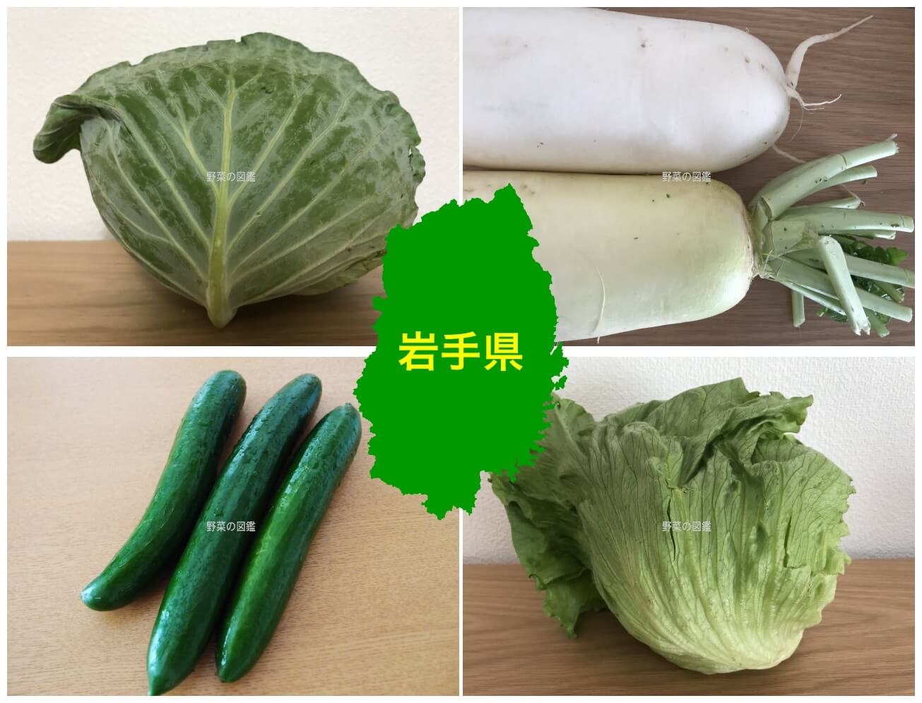 岩手県の野菜収穫量（キャベツ・大根・きゅうり・レタス）