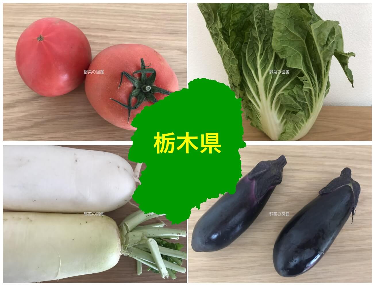 栃木県の野菜収穫量（トマト・白菜・大根・ナス）