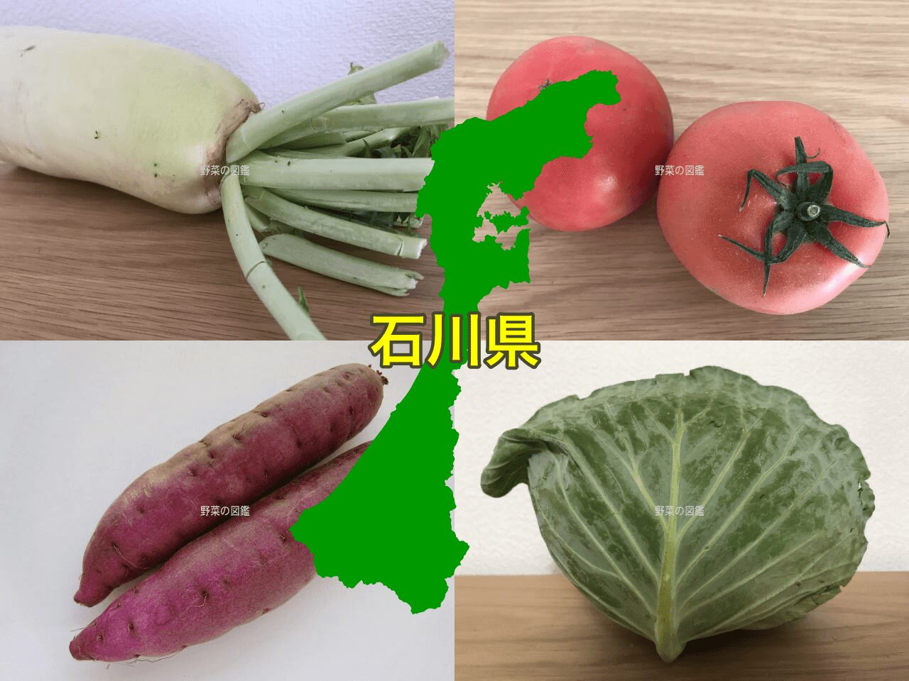 石川県の野菜収穫量（大根・トマト・さつまいも・キャベツ）