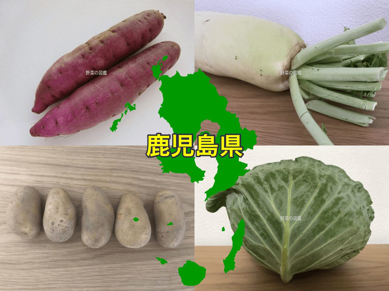 鹿児島県の野菜収穫量（さつまいも・大根・じゃがいも・キャベツ）
