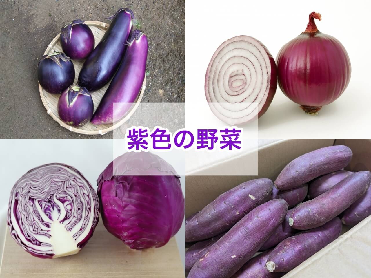 紫色の野菜